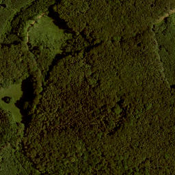 Satellite imagery of Buchriegel, AT
