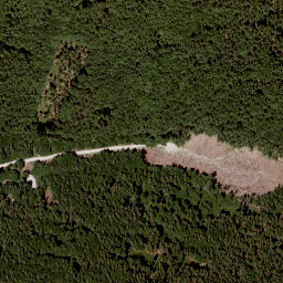 Satellite imagery of Saurüssel, AT