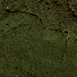 Satellite imagery of Widhag, AT