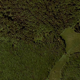 Satellite imagery of Widhag, AT
