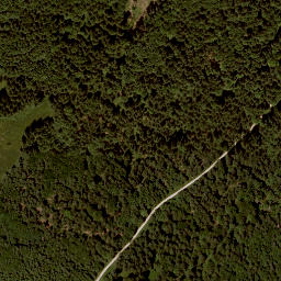 Satellite imagery of Widhag, AT