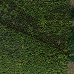 Satellite imagery of Gerüt, DE