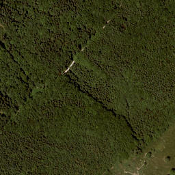 Satellite imagery of Widhag, AT