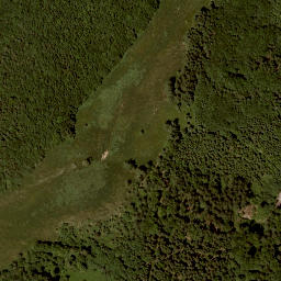 Satellite imagery of Widhag, AT