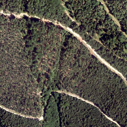 Satellite imagery of Schafkogel, AT