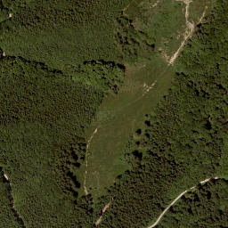 Satellite imagery of Widhag, AT