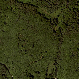 Satellite imagery of Widhag, AT