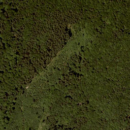 Satellite imagery of Widhag, AT