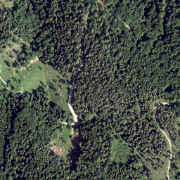 Satellite imagery of Lunz Berg, AT