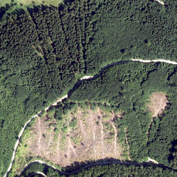 Satellite imagery of Bärenlacken, AT