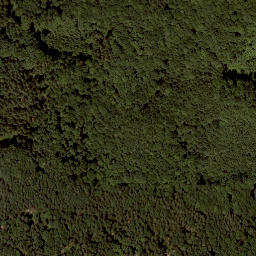 Satellite imagery of Wachtberg, AT