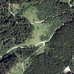 Satellite imagery of Lunz Berg, AT