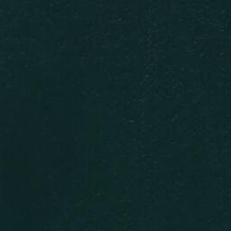 Satellite imagery of Pilot Point, US