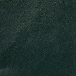 Satellite imagery of Norther Point, CA