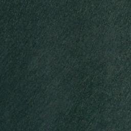 Satellite imagery of Norther Point, CA