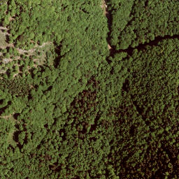 Satellite imagery of Rauhkogel, AT