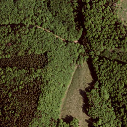 Satellite imagery of Rauhkogel, AT