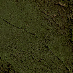 Satellite imagery of Gupf, AT