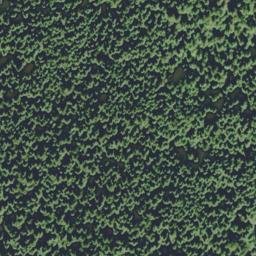 Satellite imagery of Taylor Point, US