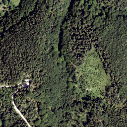 Satellite imagery of Traisen Berg, AT