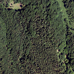 Satellite imagery of Traisen Berg, AT
