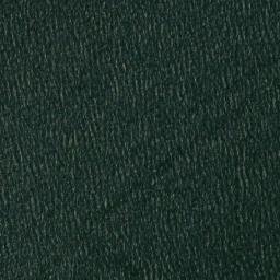 Satellite imagery of Bear Point, CA