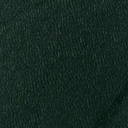 Satellite imagery of Bear Point, CA