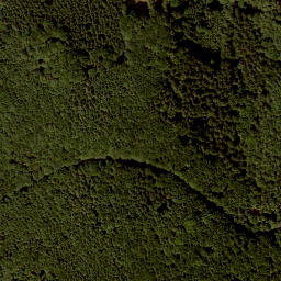 Satellite imagery of Kollmannsberg, AT