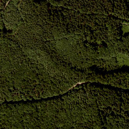 Satellite imagery of Kollmannsberg, AT