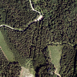 Satellite imagery of Traisen Berg, AT