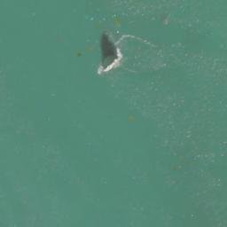 Satellite imagery of Taylor Point, US