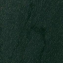 Satellite imagery of Bear Point, CA