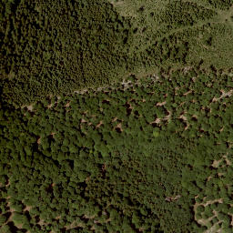 Satellite imagery of Wandlkogel, AT