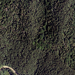 Satellite imagery of Großer Neukogel, AT