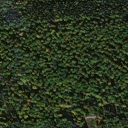 Satellite imagery of Eichberg (Östliche Höhe), DE