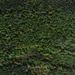 Satellite imagery of Eichberg (Östliche Höhe), DE