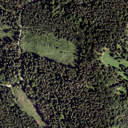 Satellite imagery of Haselstein, AT
