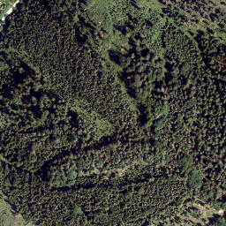 Satellite imagery of Sulzberg, AT