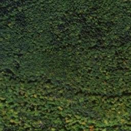 Satellite imagery of Eichberg, DE