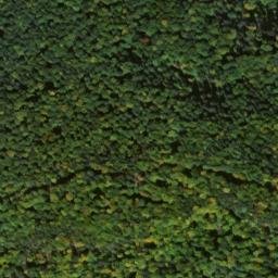 Satellite imagery of Eichberg, DE