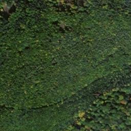 Satellite imagery of Eichberg (Östliche Höhe), DE