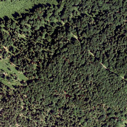Satellite imagery of Haselstein, AT