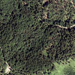 Satellite imagery of Haselstein, AT