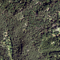 Satellite imagery of survey_point, AT