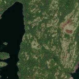 Satellite imagery of Tidy Point, CA