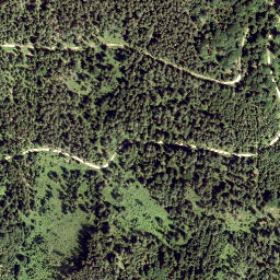 Satellite imagery of Haselstein, AT
