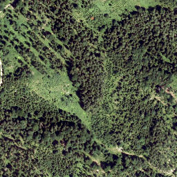 Satellite imagery of Haselstein, AT