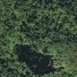 Satellite imagery of BALD HILL RESET — NGS SY3474 — Snohomish County, US, US