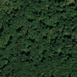 Satellite imagery of survey_point, SK