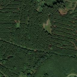 Satellite imagery of Hohenreute, DE
